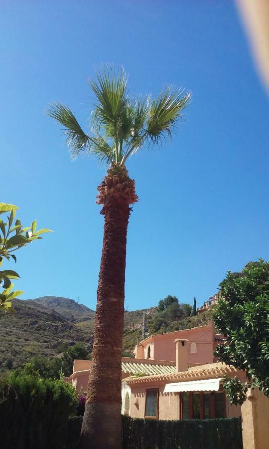 Cedra 5, Holiday Home, Cosy Apartment Turre Exterior photo